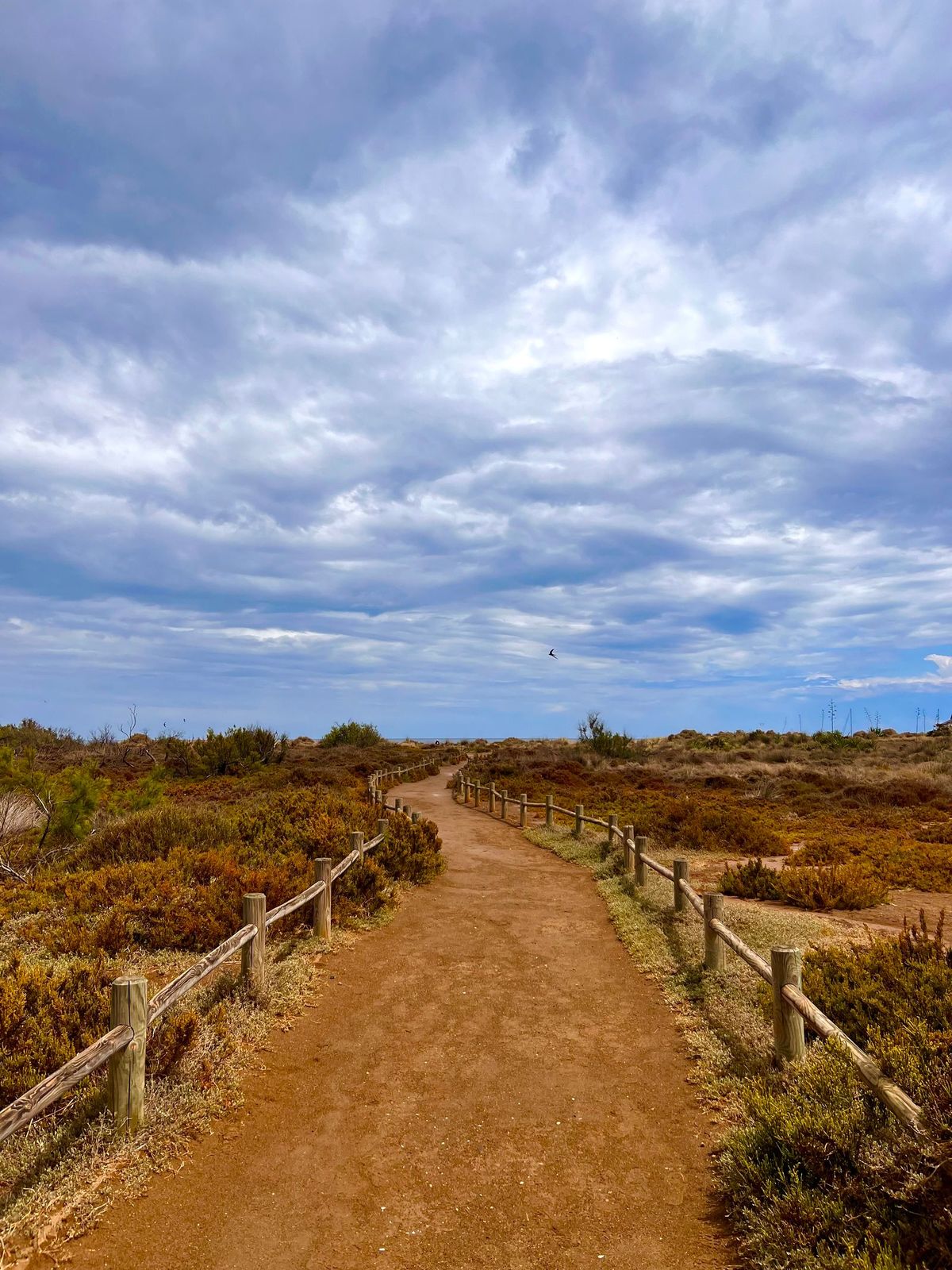 Cala en Cabo de Gata