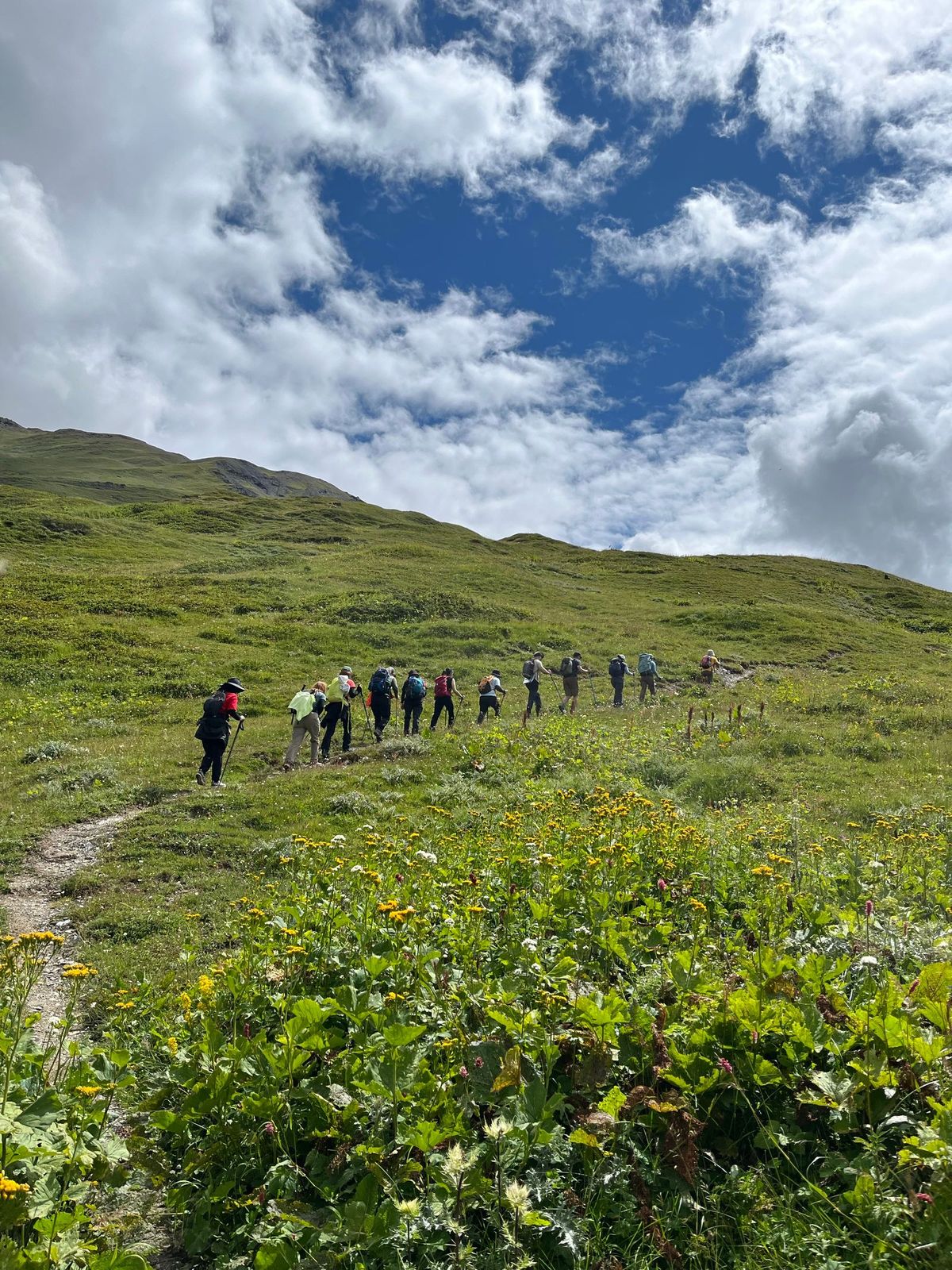 Grupo caminando por un valle verde