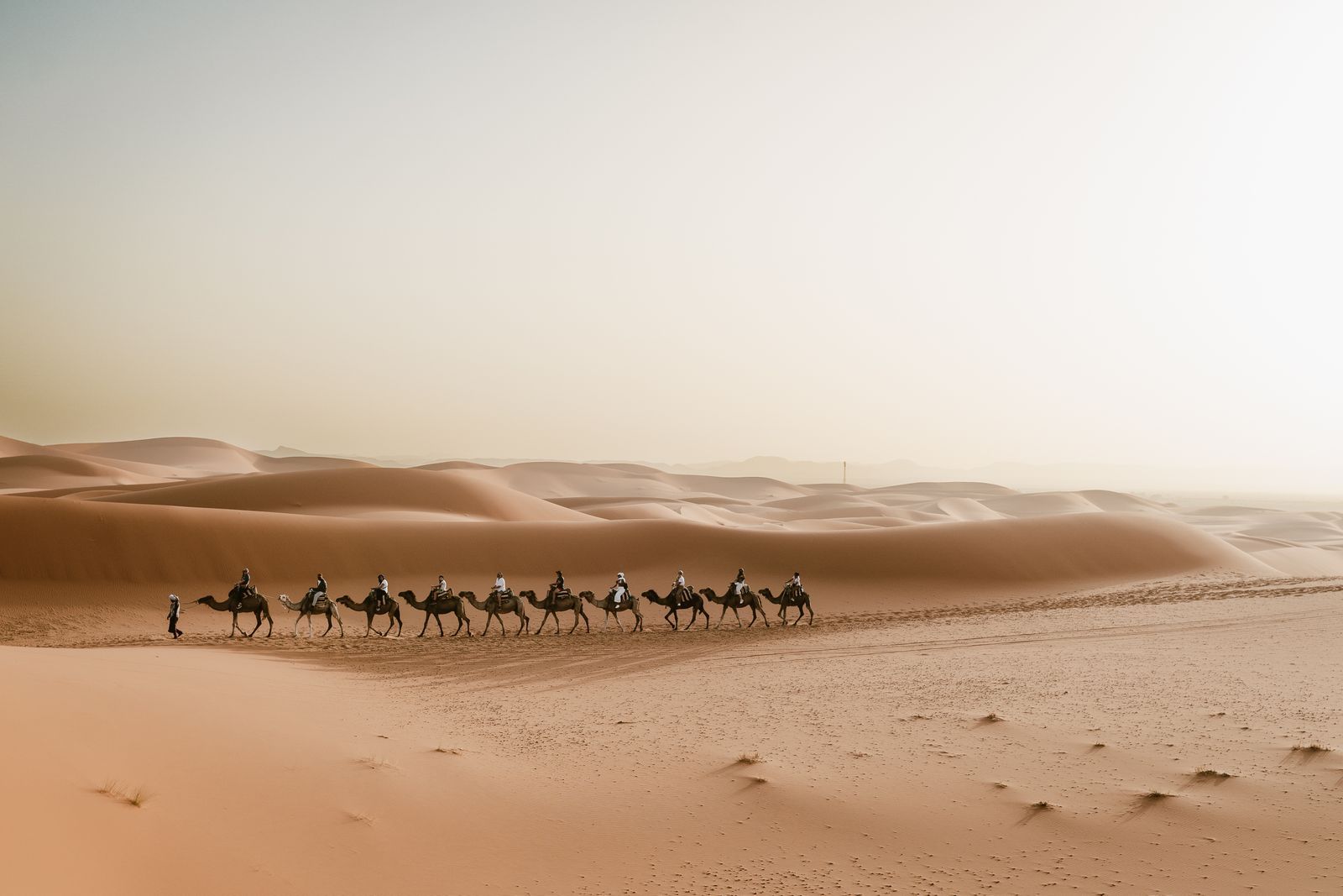 Caravana de camellos en las dunas de Merzouga